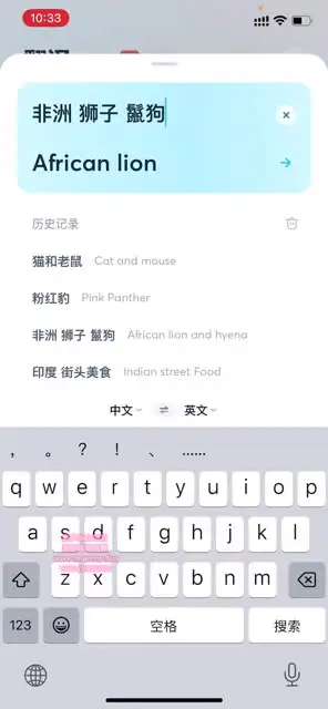 国外美食与视频创业全攻略：从素材搜索到抖音运营