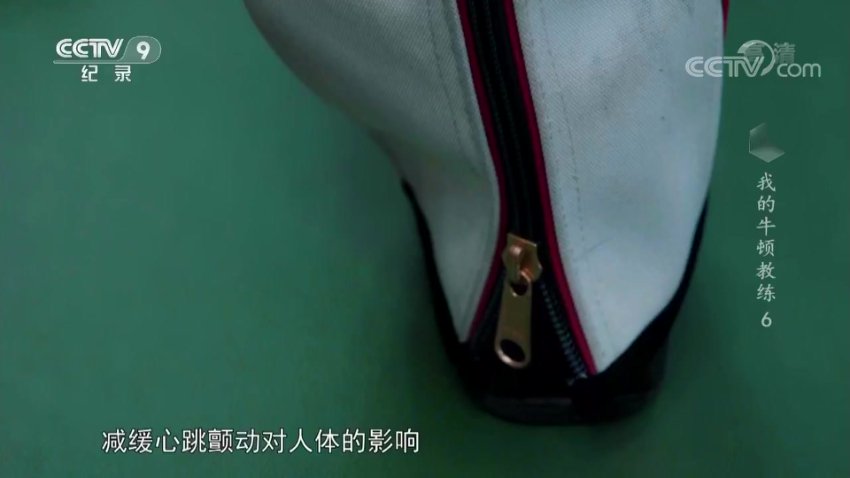 儿童物理启蒙：我的牛顿教练全解析