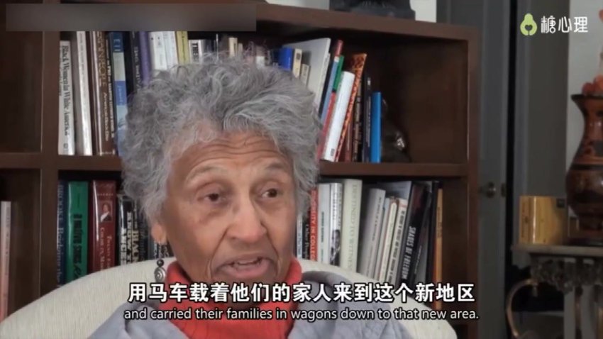 糖心理(跟创始人学家谱图:家谱图的绘制及应用)视频课程21讲