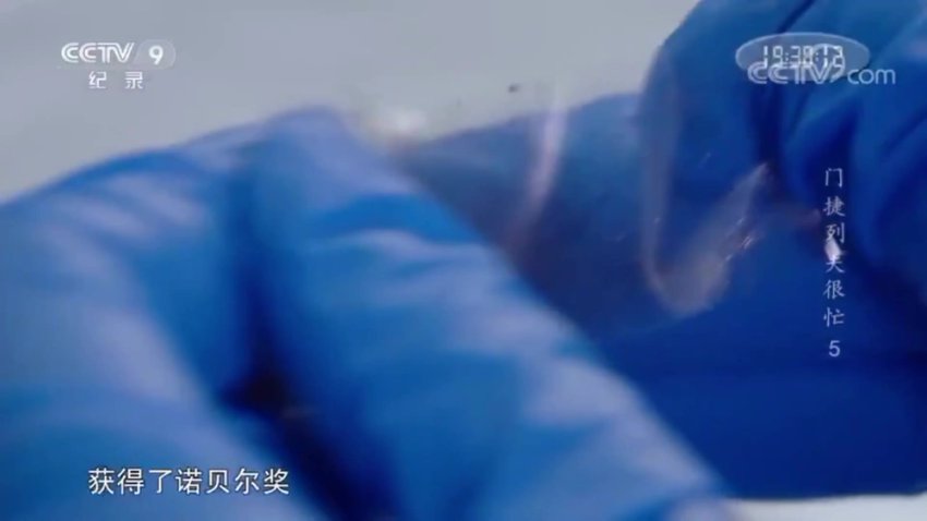 门捷列夫很忙：儿童化学启蒙纪录片全集