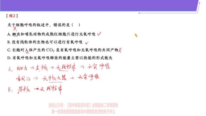 2024高三生物张元振全年班：遗传/细胞/生态专题精讲