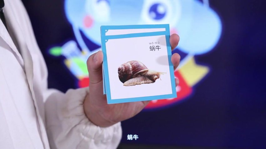 小象科学课：一二年级下同步学习与探索