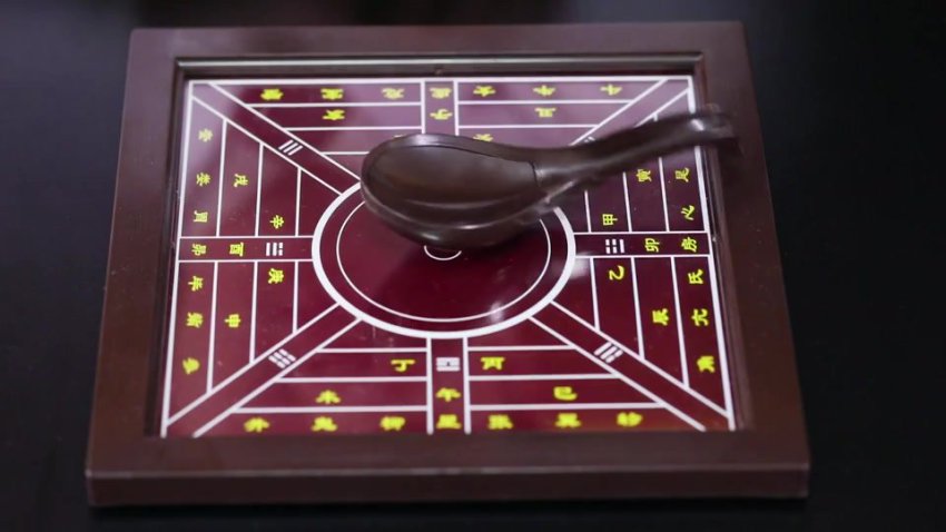 三年级下科学课同步学习指南：植物与动物的生命奥秘