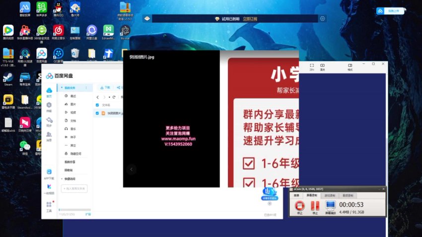 小红书新手日赚500+：刚需产品蓝海项目实战指南