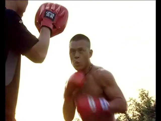 《20.5G中国武术与格斗教学视频：从传统到实战全覆盖》