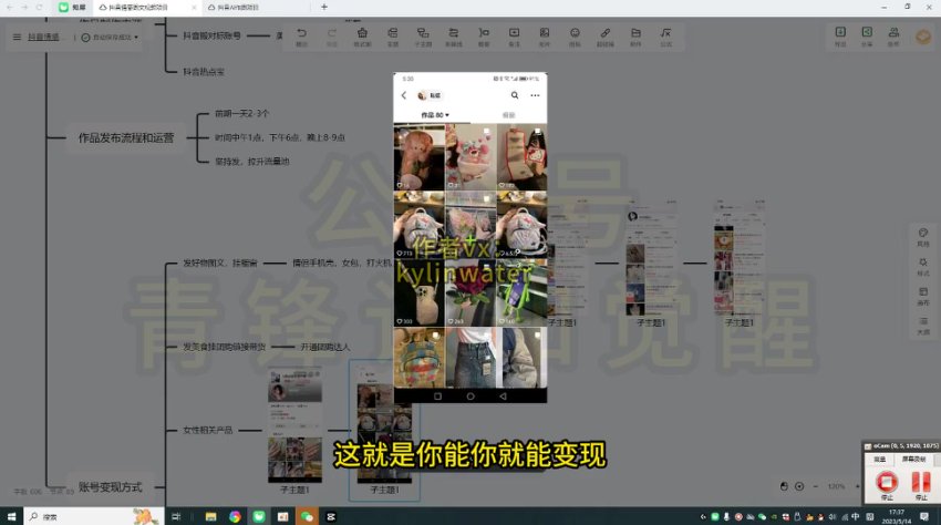 抖音浪漫图文涨粉秘籍：日入600+轻松变现