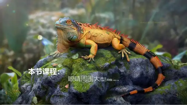 影视CG角色制作：蜥蜴全流程雕刻与渲染教程