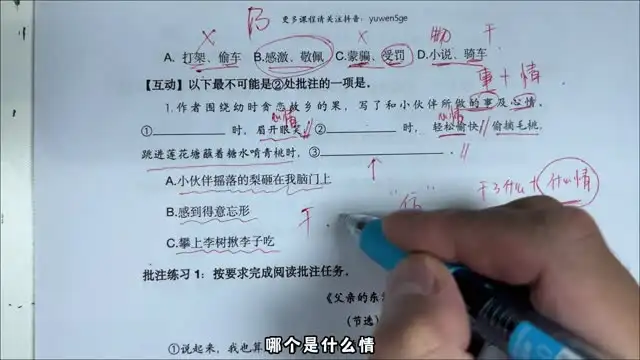 语文五哥亲授：文学素养批注与语文能力提升全攻略