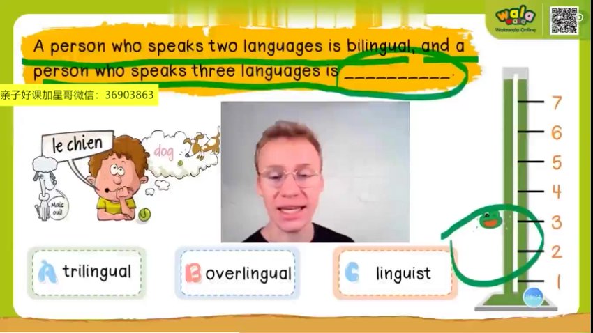 Walawala小学英语词汇巧记精讲视频1-3季